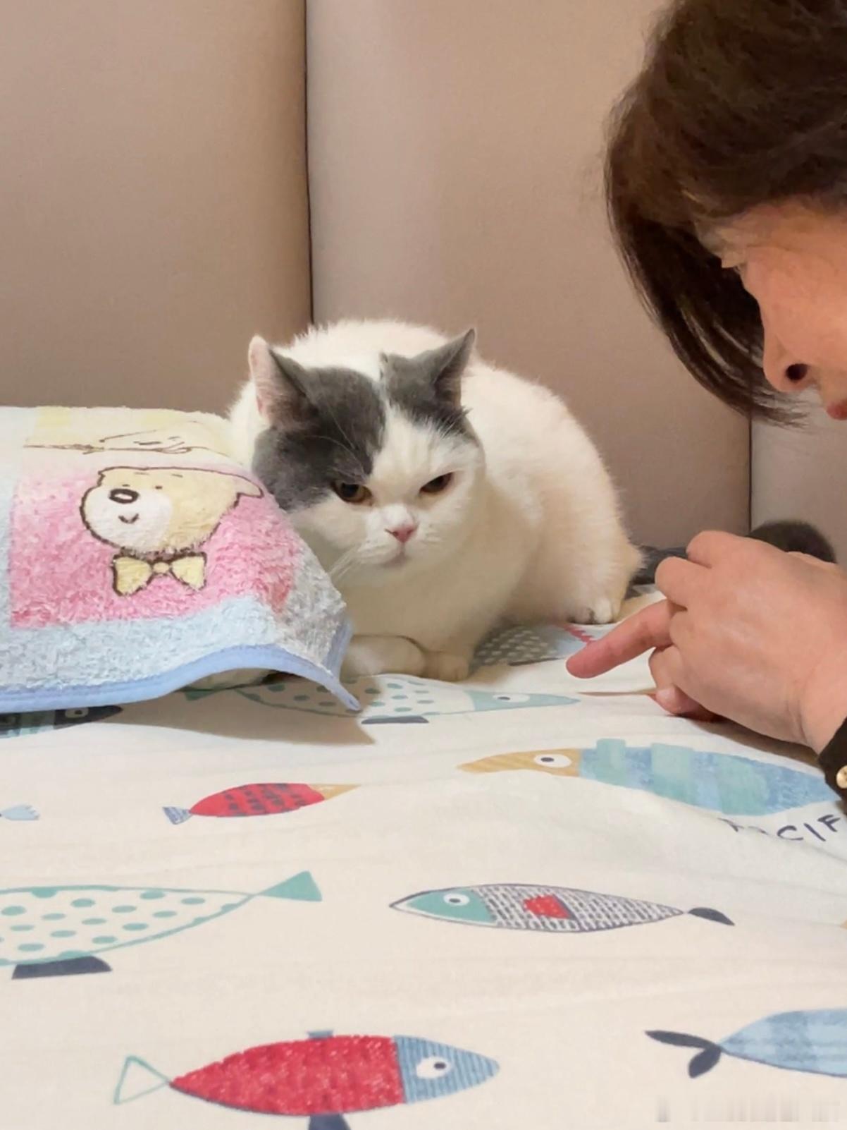 被姥娘训了 