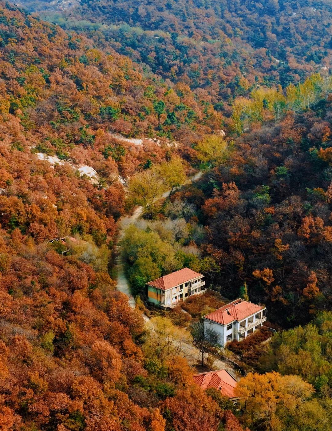 烟台周边🚗找到了梦想中的徒步秘境
如果你也想避开人流
找一处人少景美的徒步秘境