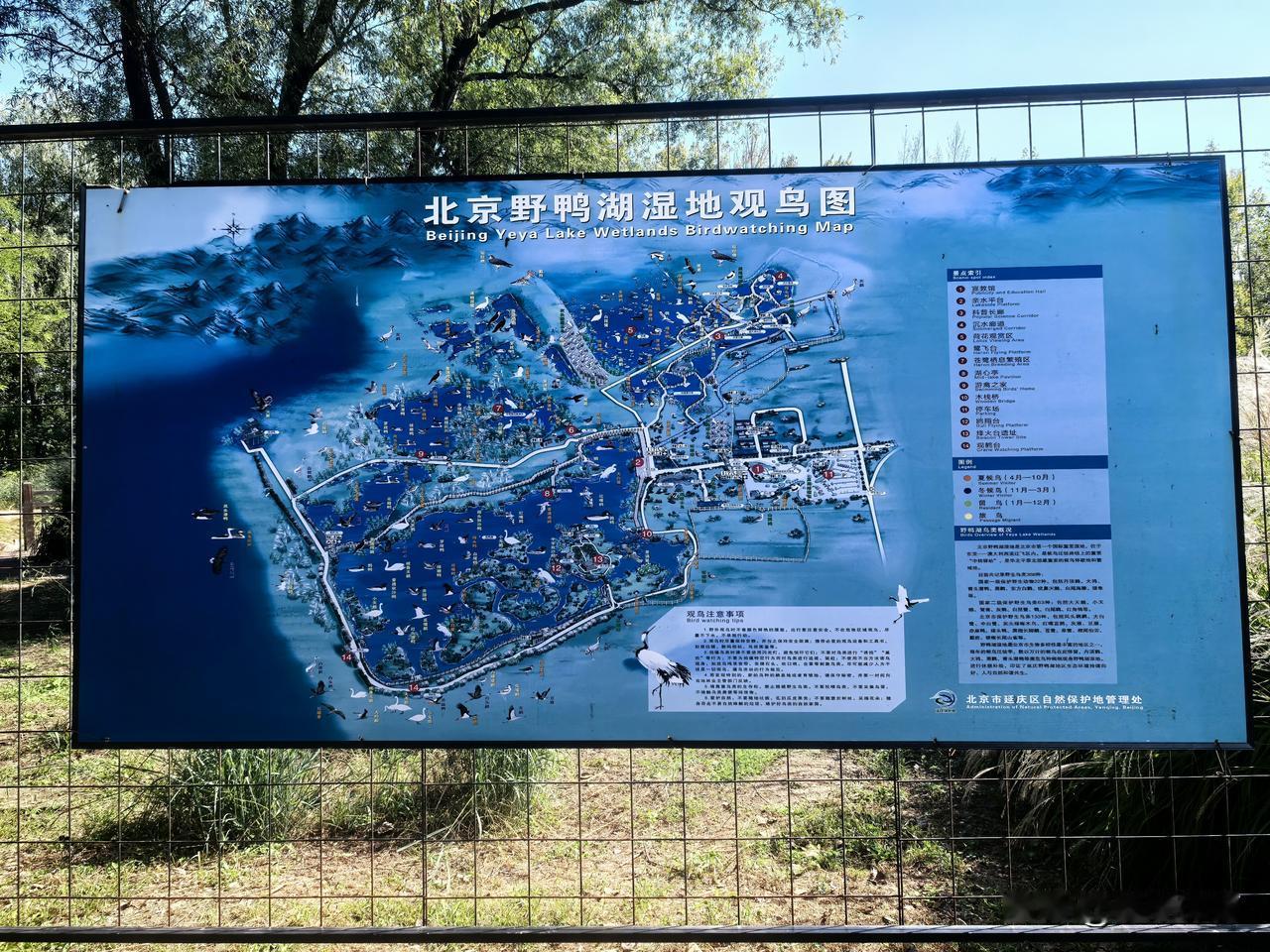 北京野鸭湖湿地观鸟图，将一年内夏候鸟、冬候鸟及各种留鸟的观鸟区位标注得一目了然。