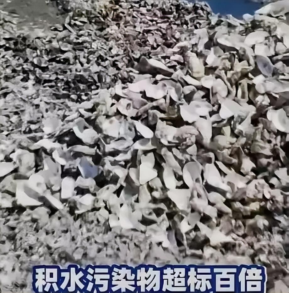 11万吨！中央督察组在广东潮州，挖出一堆“吃人的生蚝壳”！
 6月2日，中央生态