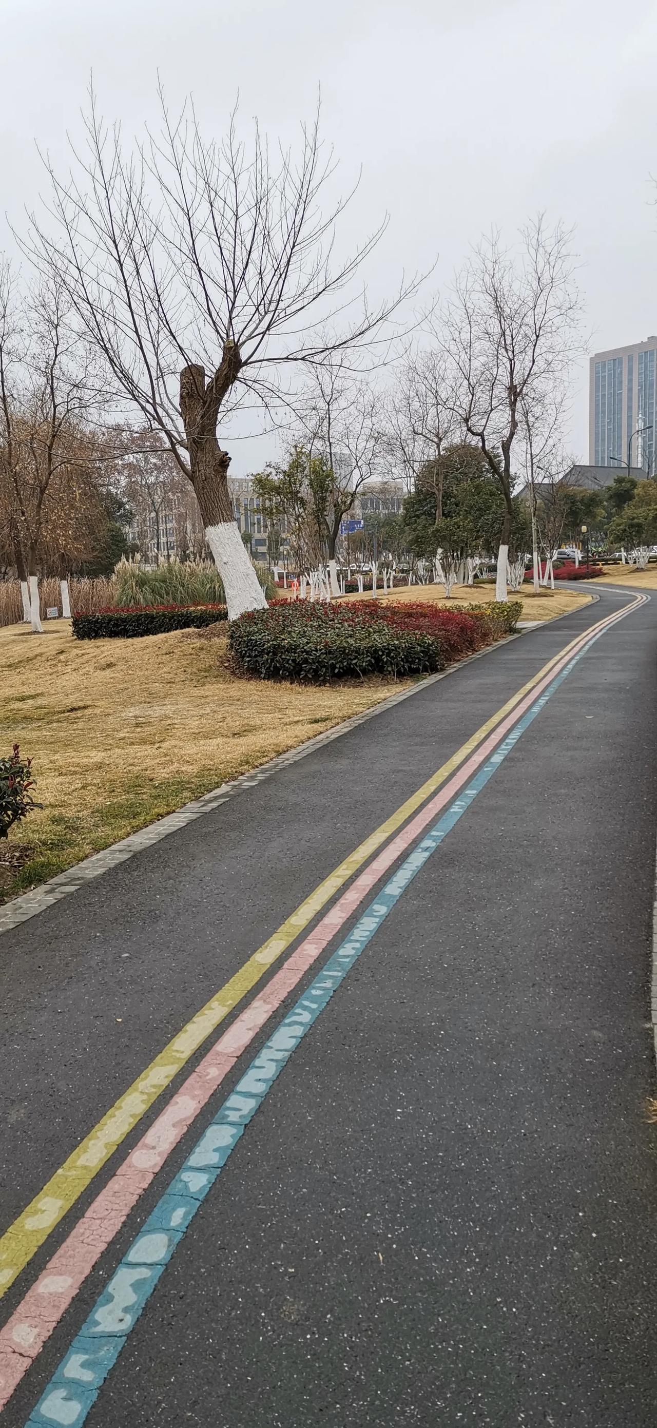随手一拍，处处是美景
