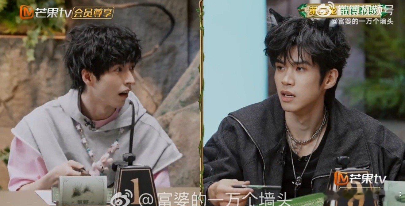 李晋晔人心中的成见是一座大山森林进化论2025 这期森林进化论是成见主题教学吧？