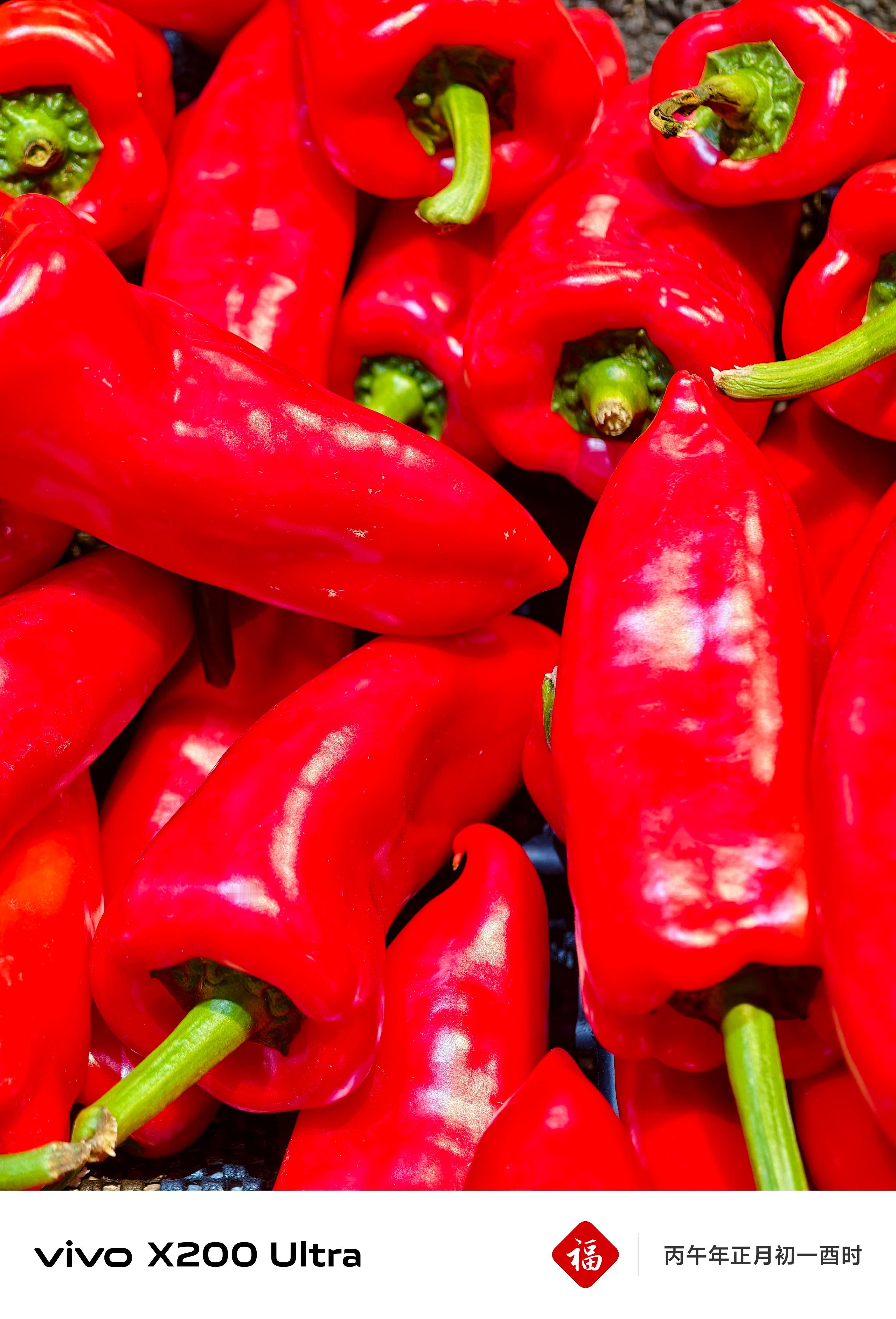 正月初一给大家分享点红红火火的照片