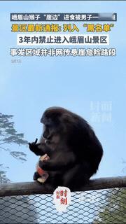 实在是大快人心，
峨眉山景区这次干得的确到位！

一男子在雷洞坪，故意去推一只正