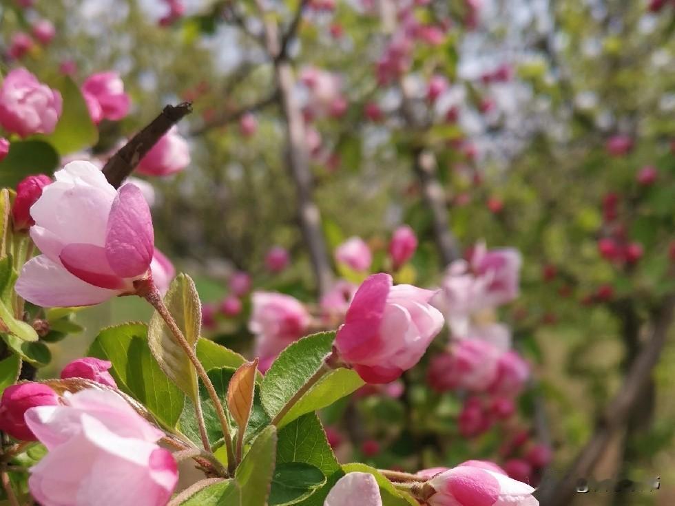 女人当婆婆容易，但想当一个好婆婆就不容易了！要想把婆媳关系处理顺当，一定要记住这