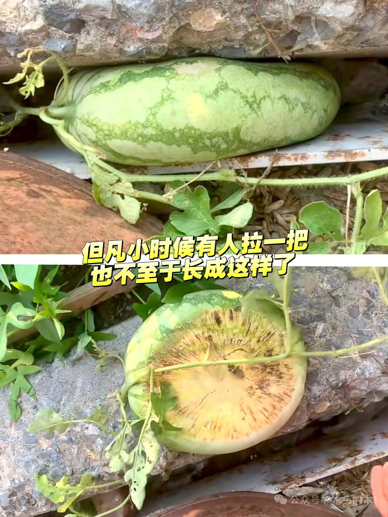 但凡小时候有人拉一把，也不至于长成这样！