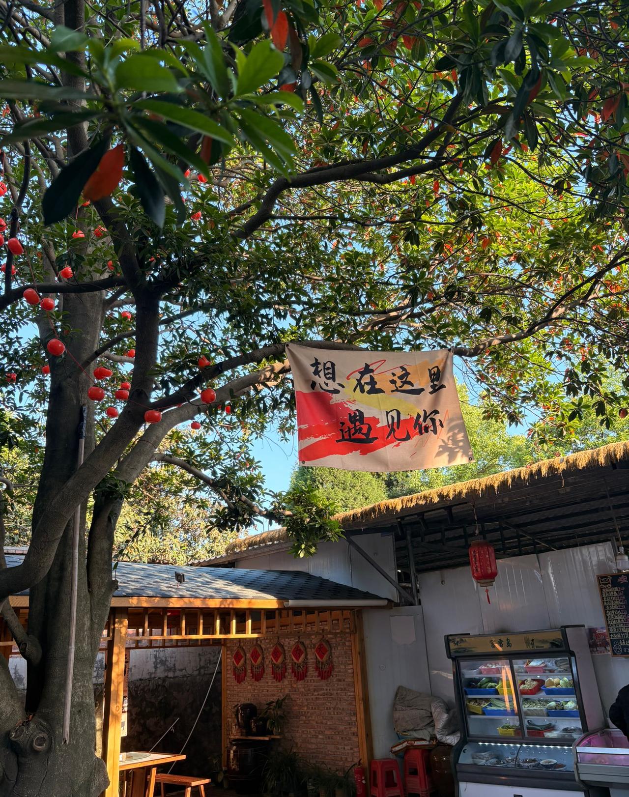 其实人生怎么去定义成功呢？
我觉得只要自己觉得能够过上喜欢的生活就好。

我有两