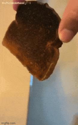 因为烤焦的面包有点多，所以作副画吧 ​​​