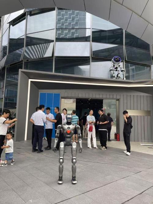 机器人租赁市场彻底“退烧”！年初还炒到日租2万元、“一机难求”的人形机器人，现在