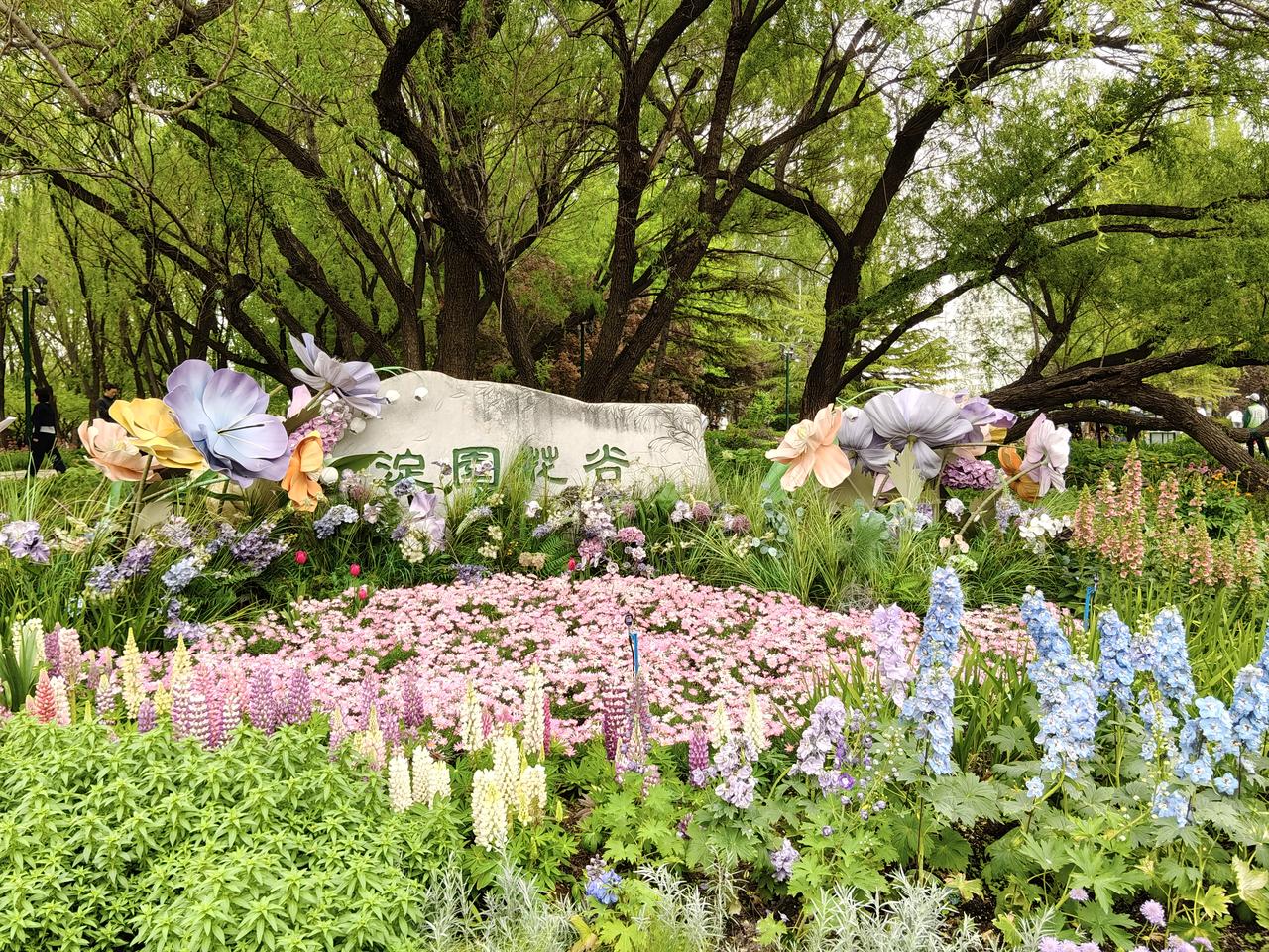 海淀公园的莫奈花园
今天去西苑医院看中医，回程沿着路遛哒，走过中关村论坛，到了海