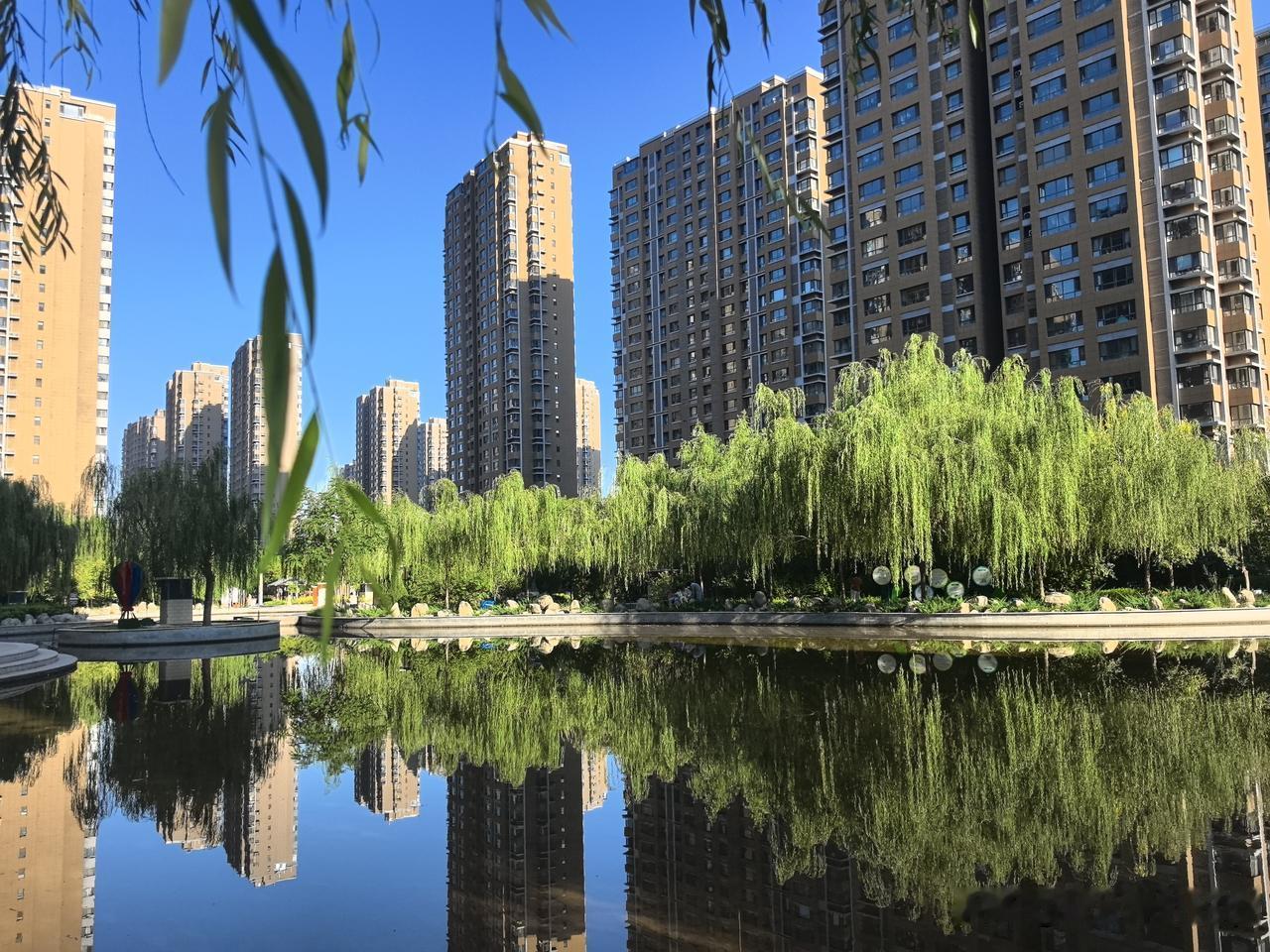 夏日生活打卡季清晨走出家门，听着鸟叫，迎着清爽的晨风深深呼吸。清新的空气漫入心底