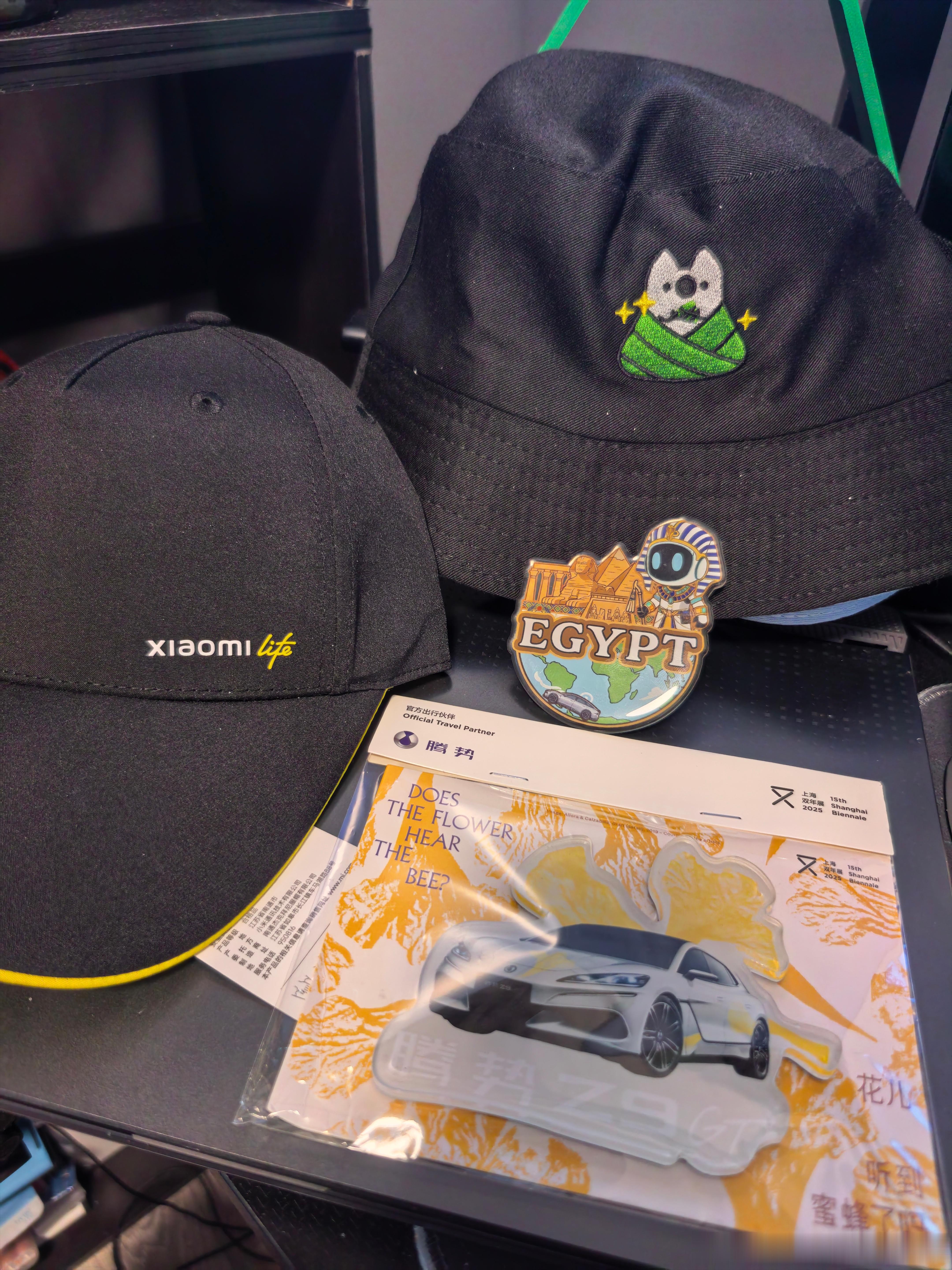 今天来个最混搭的，上海双年展腾势Z9GT冰箱贴、小米鸭舌帽、小鹏iron冰箱贴、