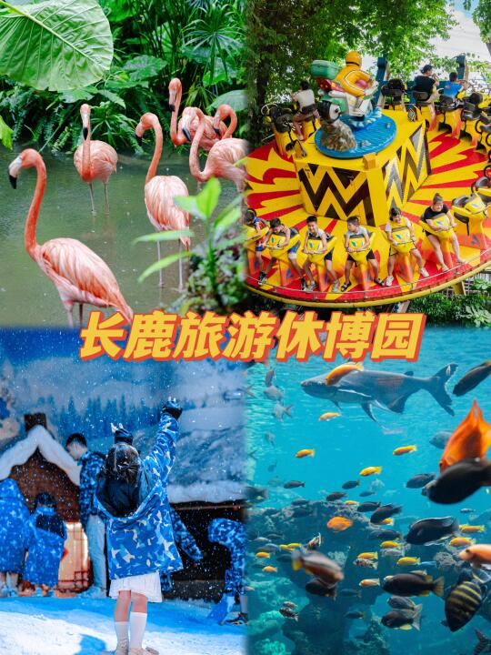 佛山！初春游玩好去处就在长鹿