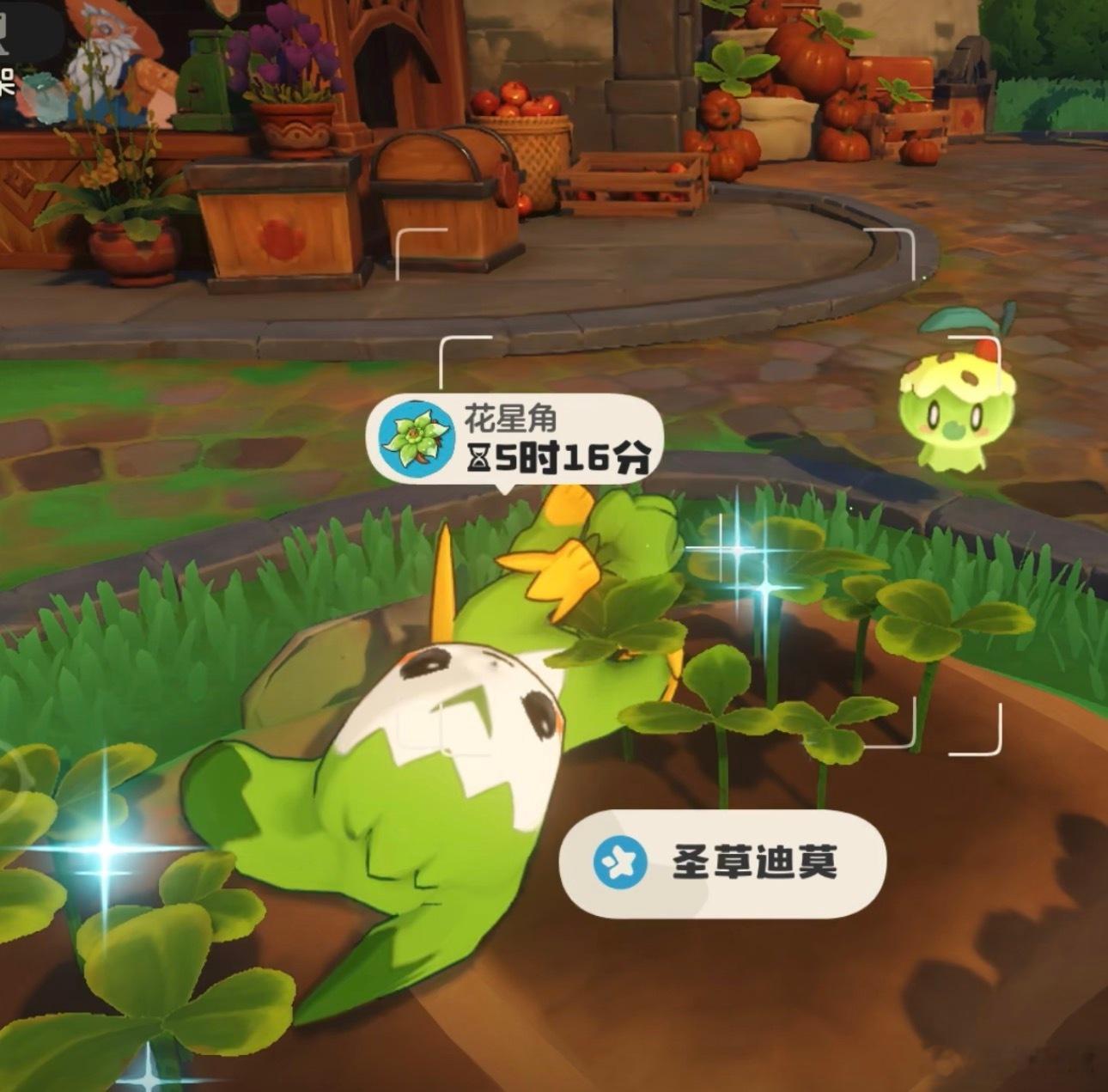 小狗咪还会翻肚皮，萌晕了 ​​​
