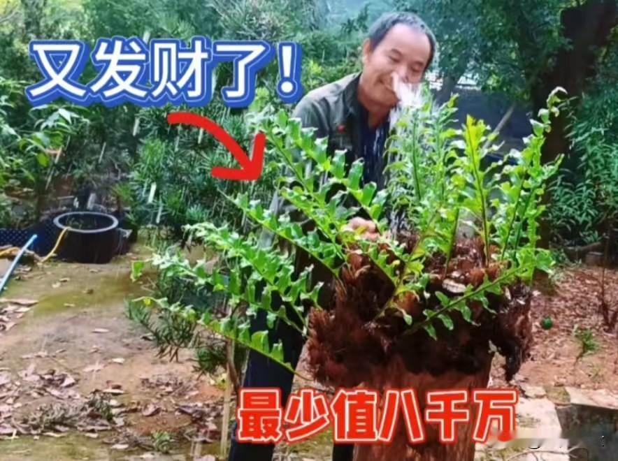 快来看看我新换的主页背景吧