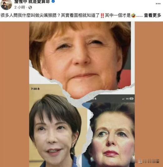 台湾省命理师詹惟中，因为在网上暗示高市早苗“尖嘴猴腮，刻薄无福”，而遭到大批台湾