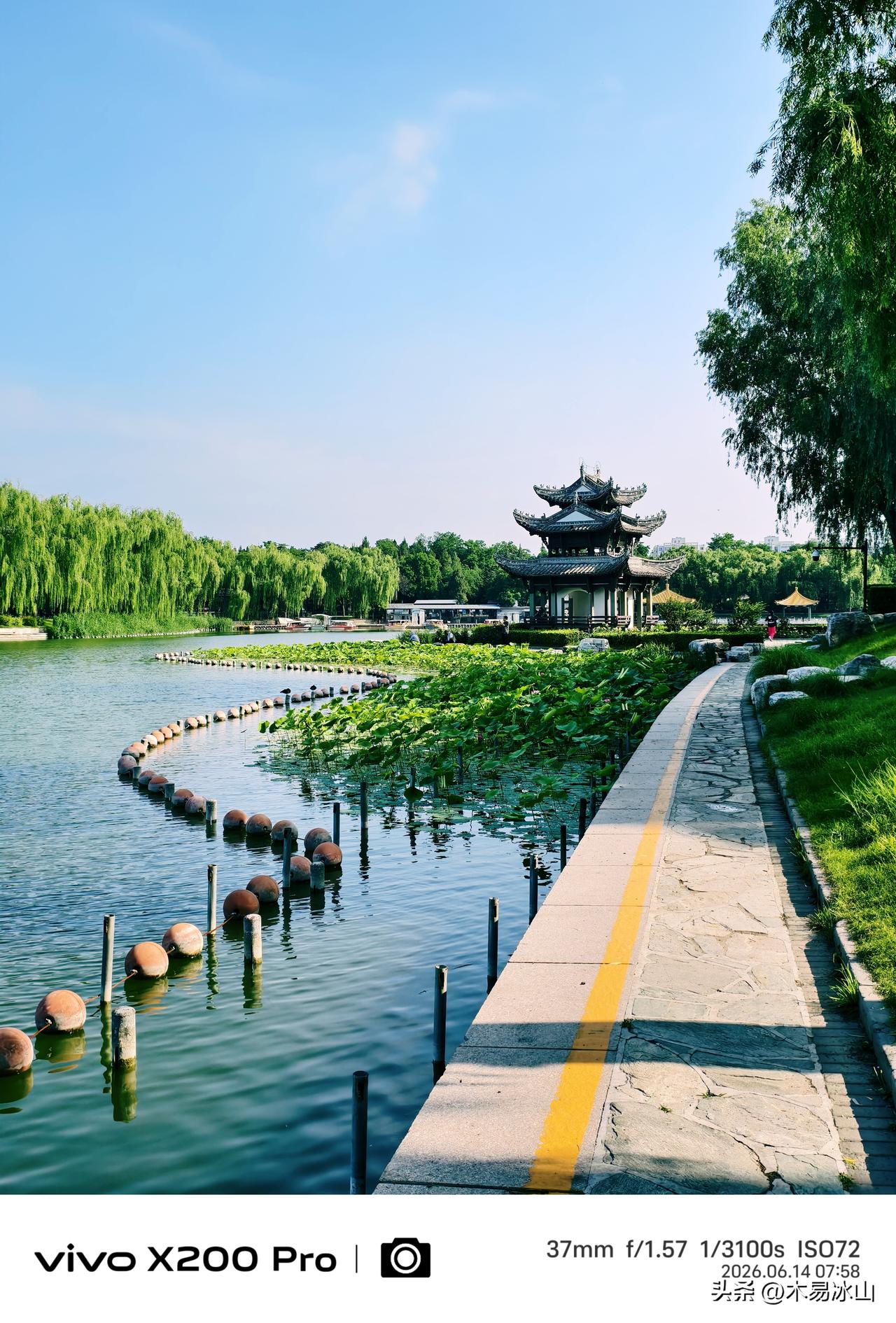 六月的北京，天气凉爽，漫步北京陶然亭公园，绿柳荫荫，随手一拍，处处都是美景，令人