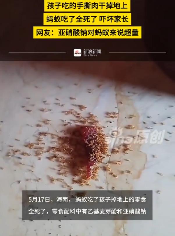 “实在太吓人了！”海南家长意外发现，孩子常吃的零食毒性惊人，掉落一点残渣就能让蚂