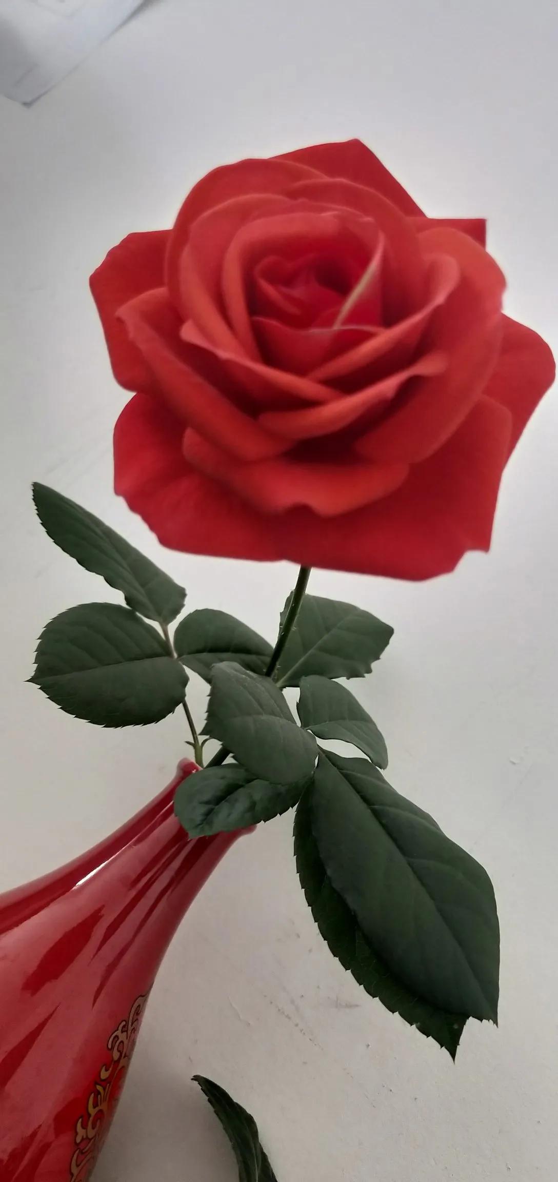 前几天说到聊天搭子的事，不少朋友给我发私信，可是我的本意并非如此啊！

我是说不