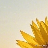 奥运会 | 早安 没有太晚的开始，不如就从今天行动，总有一天，那个一点一点可见的