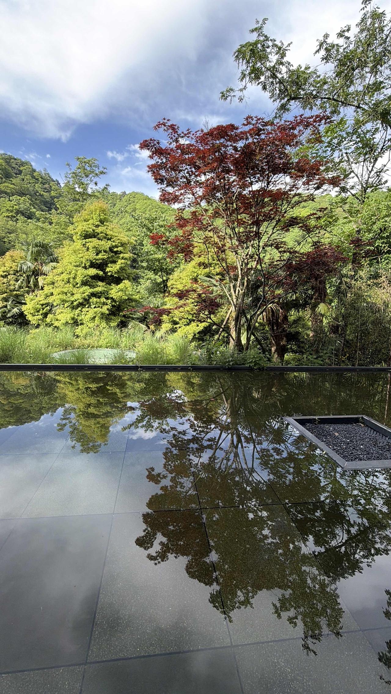 康复日记：青城后山：一池私汤，一山治愈

2026年05月04日 星期一 晴，天