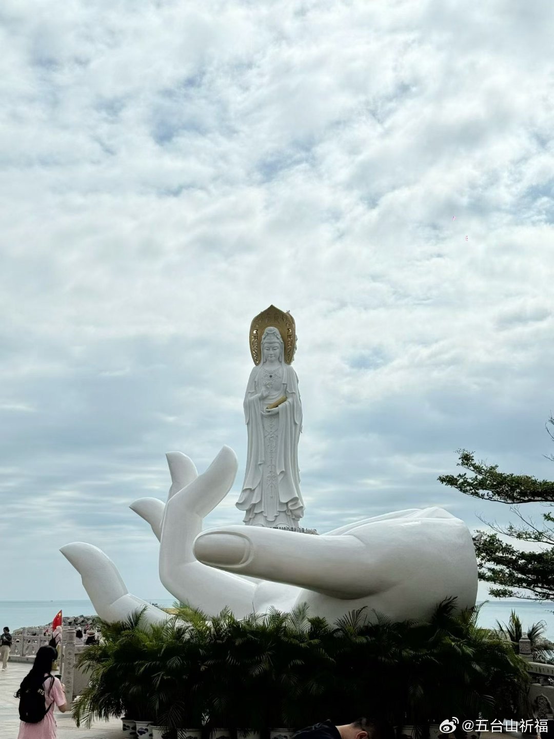 “分别心”是佛教和一些东方哲学中的概念，指以自我为中心对事物进行主观评判、比较和