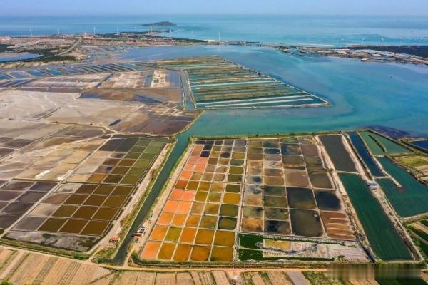 专家提示夏季三大耗损阳气行为热点科普 大量出汗、喝过多冷饮、吃得太多夏季伤阳三大