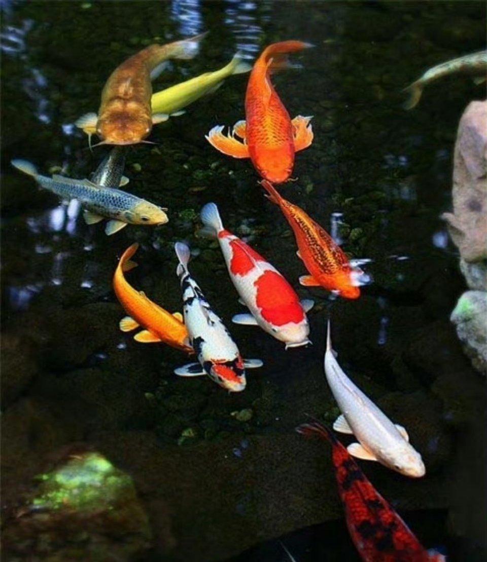 明天就要高考了，无论分数线多少大家都来沾沾欧气吧，祝今年所有考生都能金榜题名！ 
