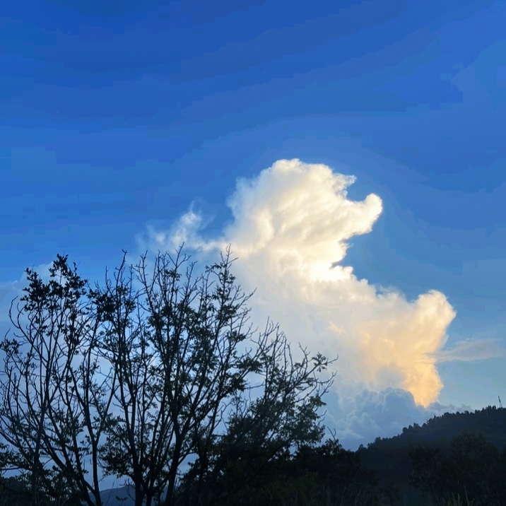 凉薄的秋天最终还是来了空气中带着一股莫名奇妙的疏离感 ​​​