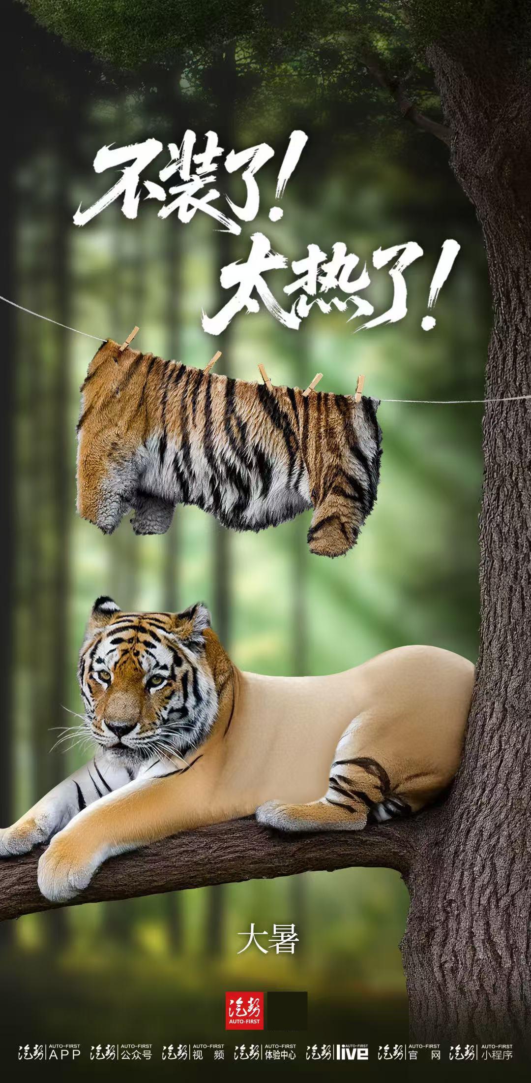 腐草为萤，土润溽暑，大雨时行。