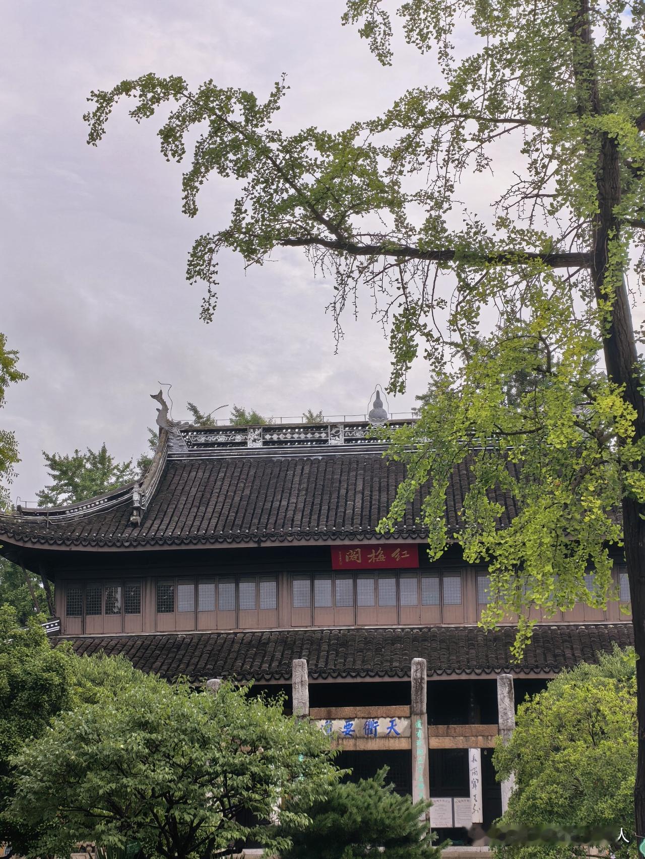 红梅阁前，池水边矮栏上，坐沐秋天清晨里第一抹清凉，秋风微拂，红鱼摇尾漫游，水鸟俯