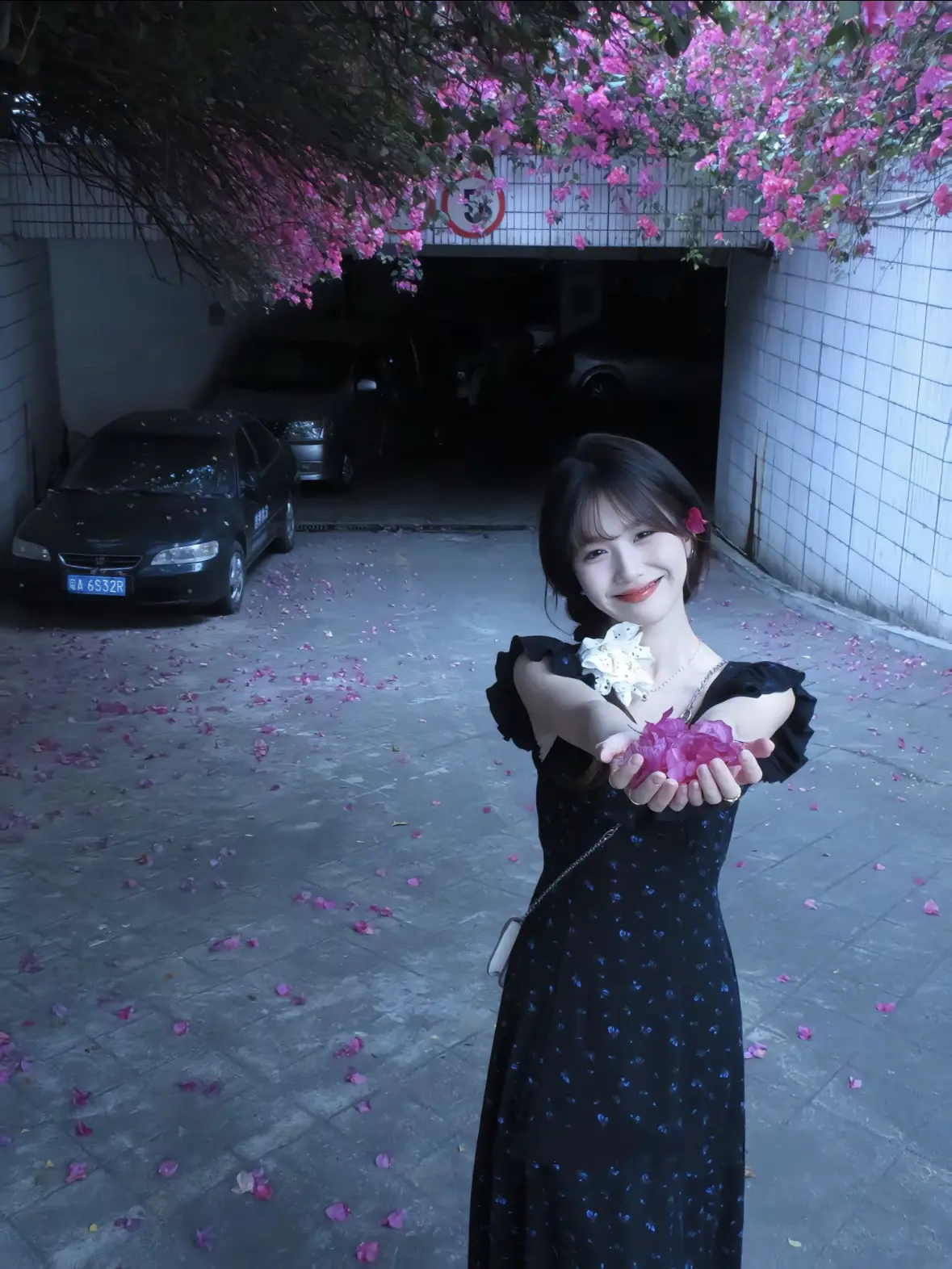 待她笑颜如花 ˗ˋˏᰔᩚˎˊ˗