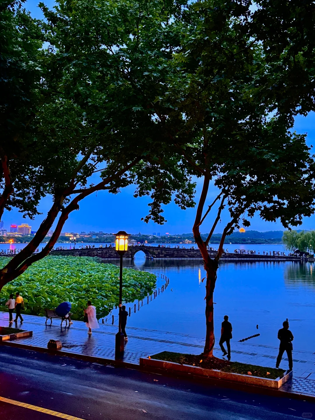 下雨天蓝调的西湖，太浪漫了…💙