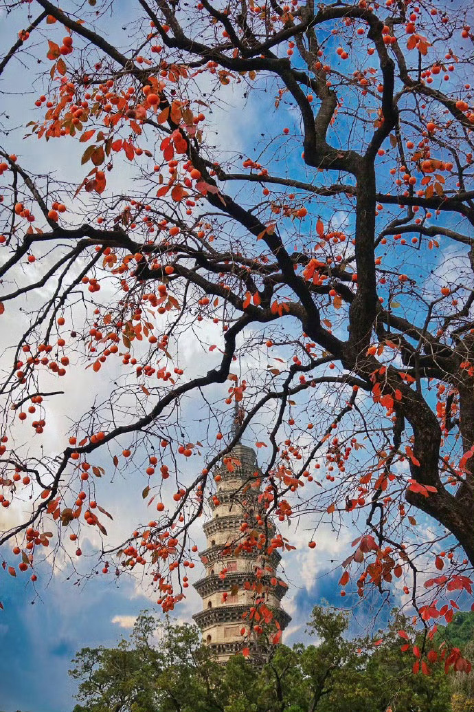 一城山色半城湖，你好，济南 ！ ​​​​