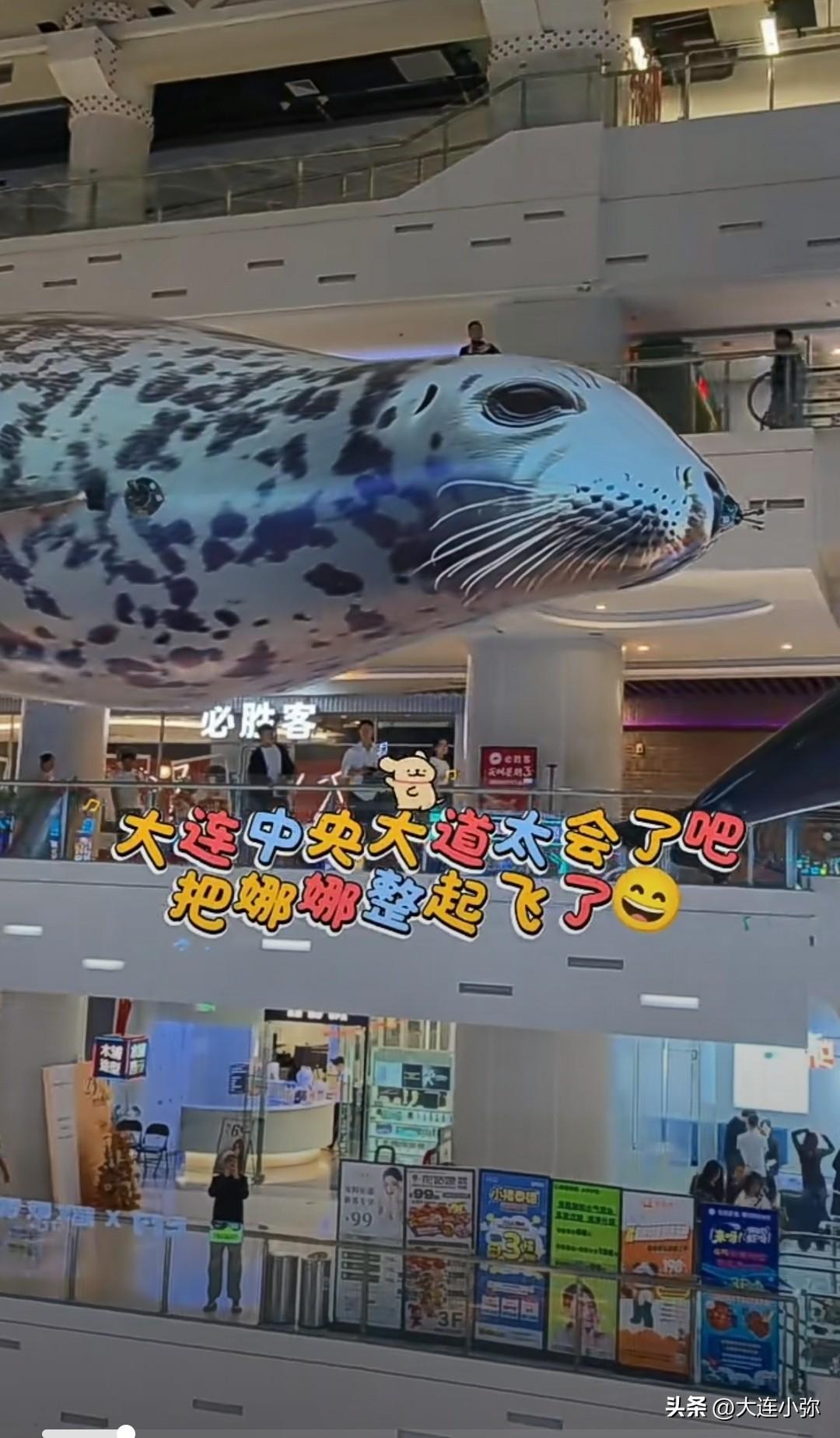太会整活！大连中央大道，网红斑海豹“娜娜”商场腾空飞起
十一国庆，大连中央大道搞