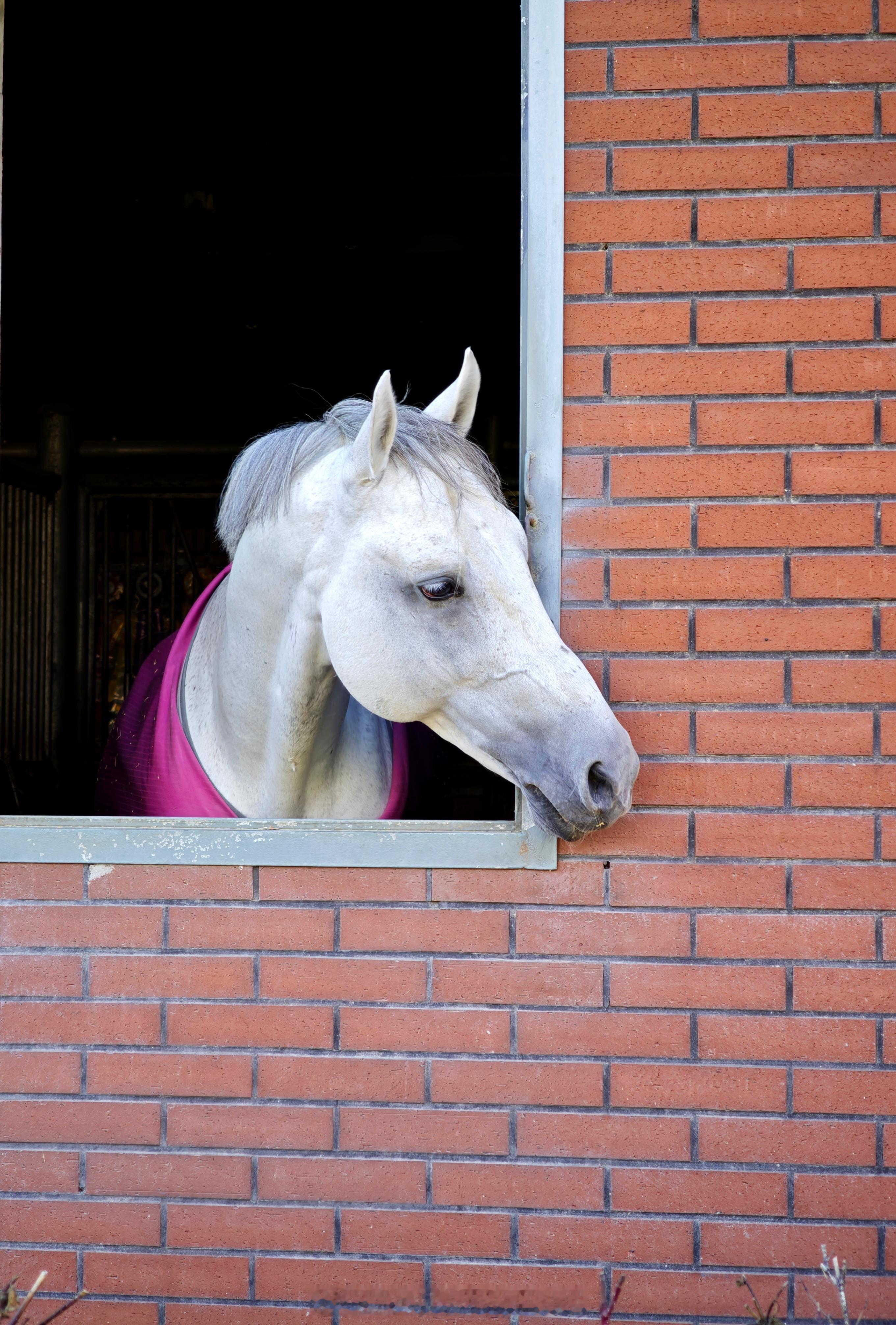 别说，画的还真很形象
