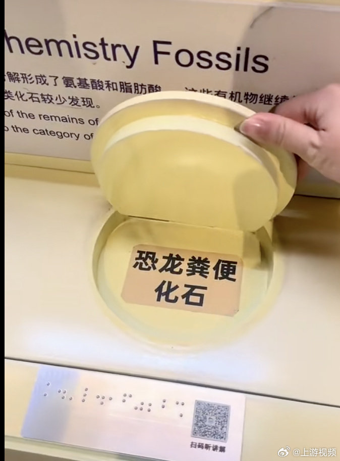 #博物馆展出可触摸恐龙粪便化石#【游客在博物馆摸神秘化石，答案竟是“恐龙粪便”？