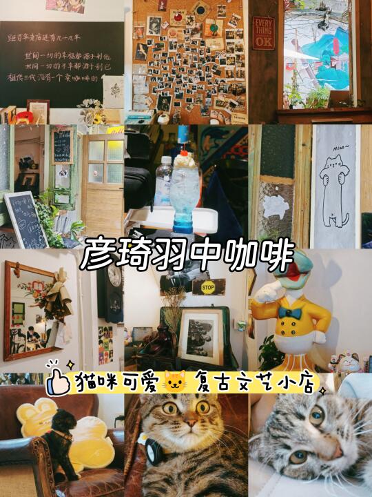 广州！彦琦羽中复古文艺咖啡店！猫咪好rua