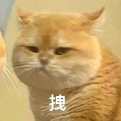 开始纠结中午吃啥了，塔斯汀的鸡虾煲感觉不错，又有点想吃汉堡王 