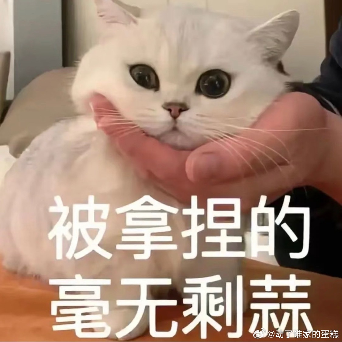 某头部娱乐公司雇狗仔拍艺人黑料娱乐公司雇狗仔拍艺人黑料，是为了更好掌控艺人还是为