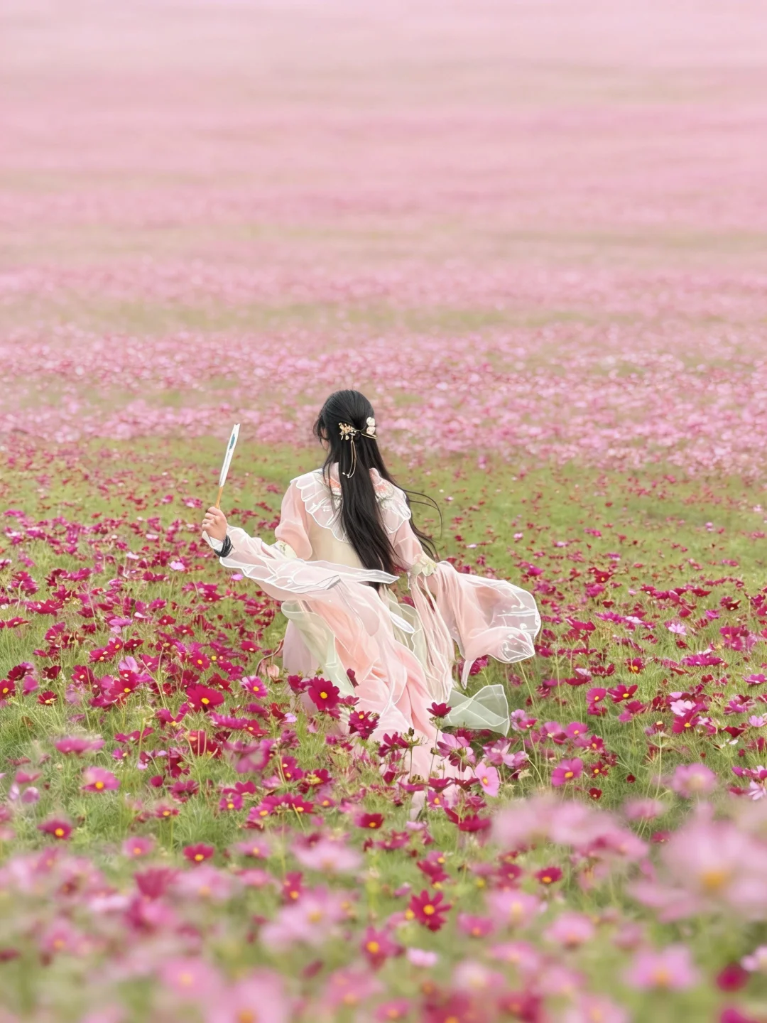 河源这里花又开了🌸