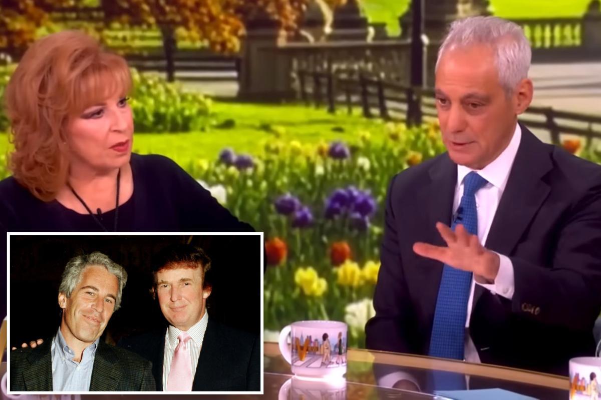 新闻快讯：《观点》（The View）节目主持人询问拉姆·伊曼纽尔：特朗普是否发