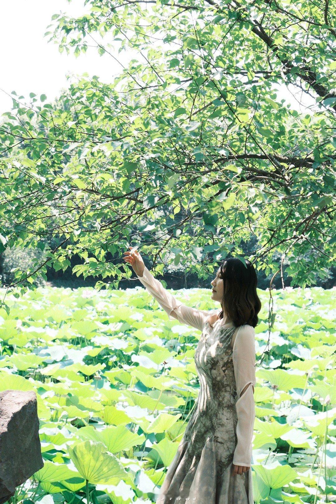 ‧⁺◟꒰🕊🌳꒱˚ ༘♡🍃 ​​​