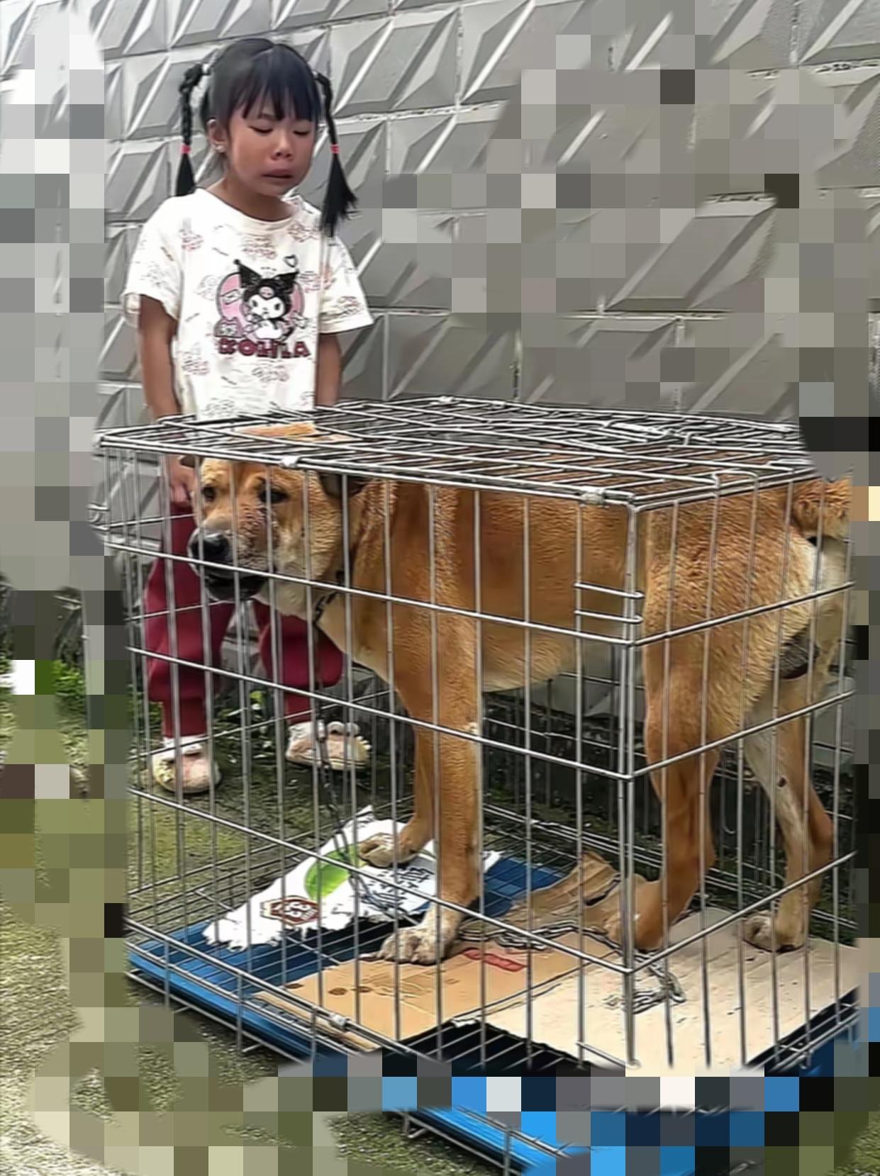 真的看破防了，原来孩子的真心，能抵过成年人所有的现实无奈。
       桂林深