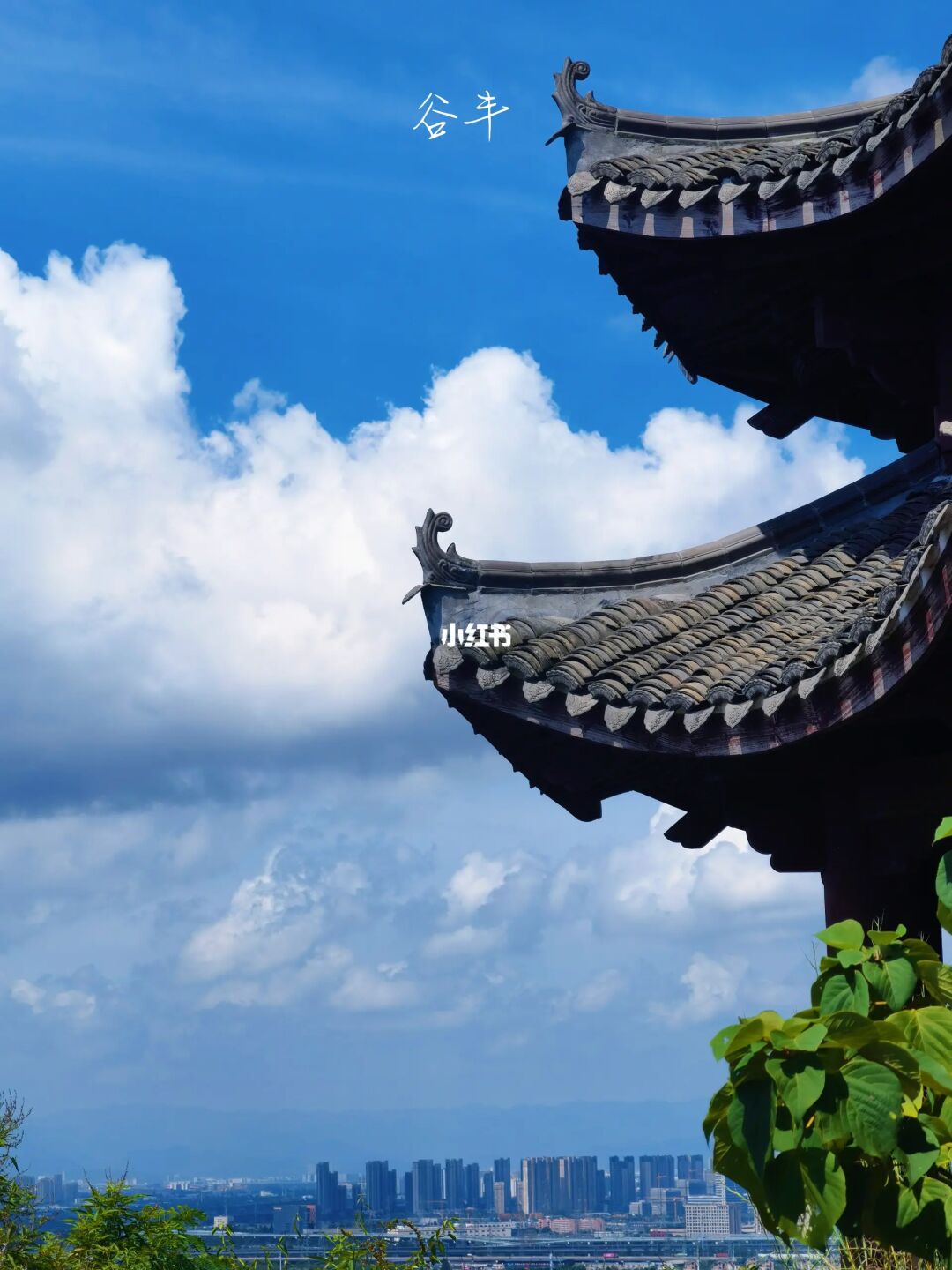 东钱湖休闲小众徒步，湖光山色里的绝美古道