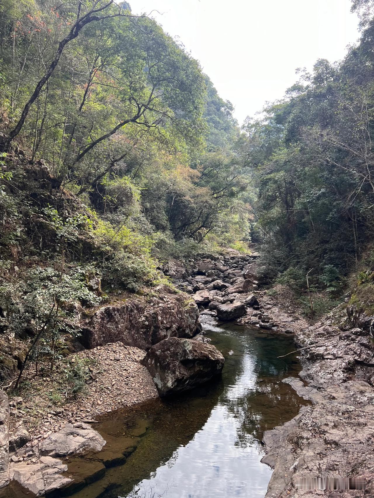 三百山景点之一·九曲溪

九曲溪，是火山深切口峡谷，约6公里长，包括金龟饮泉、知