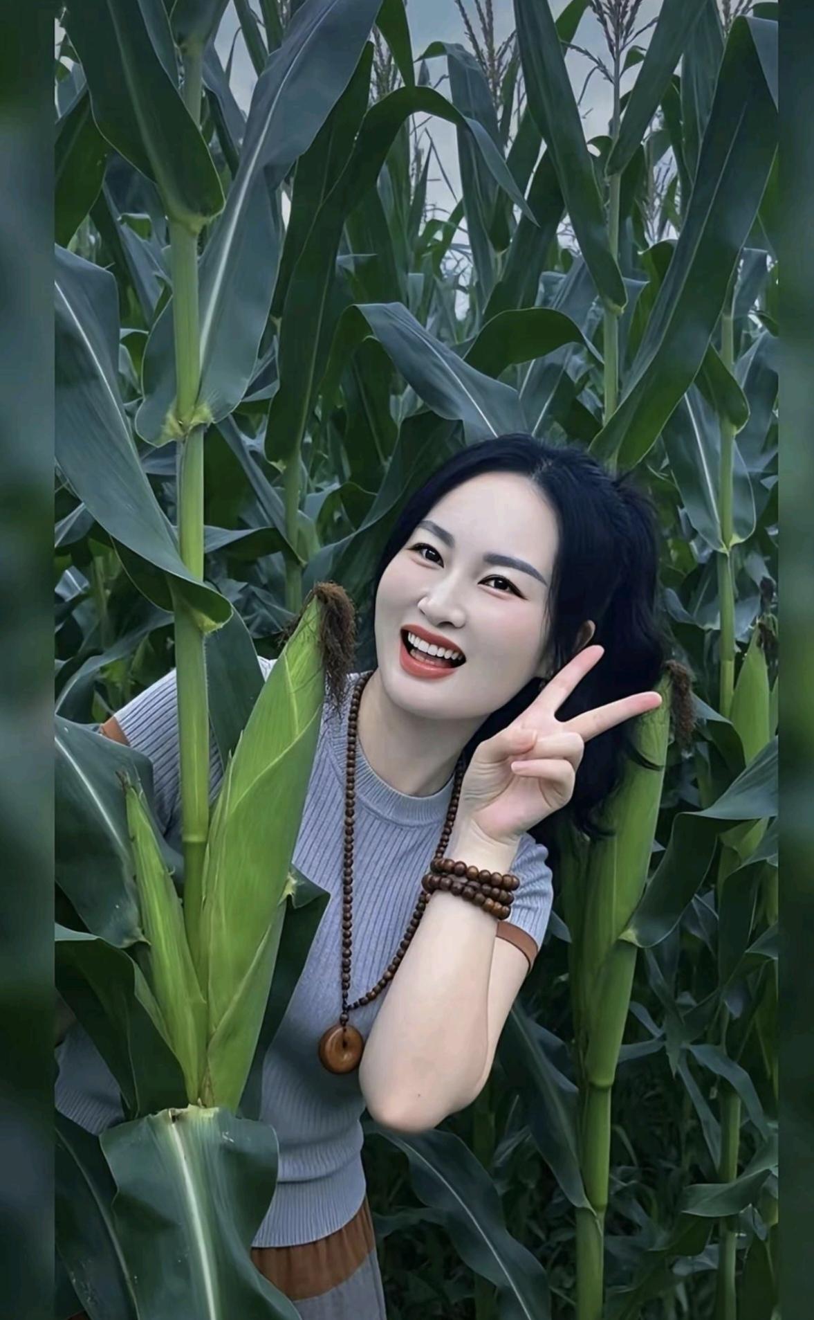 玉米叶子毛刺多，
皮肤暴露易割破。
进地要穿长衣裤，
…………………………
请你