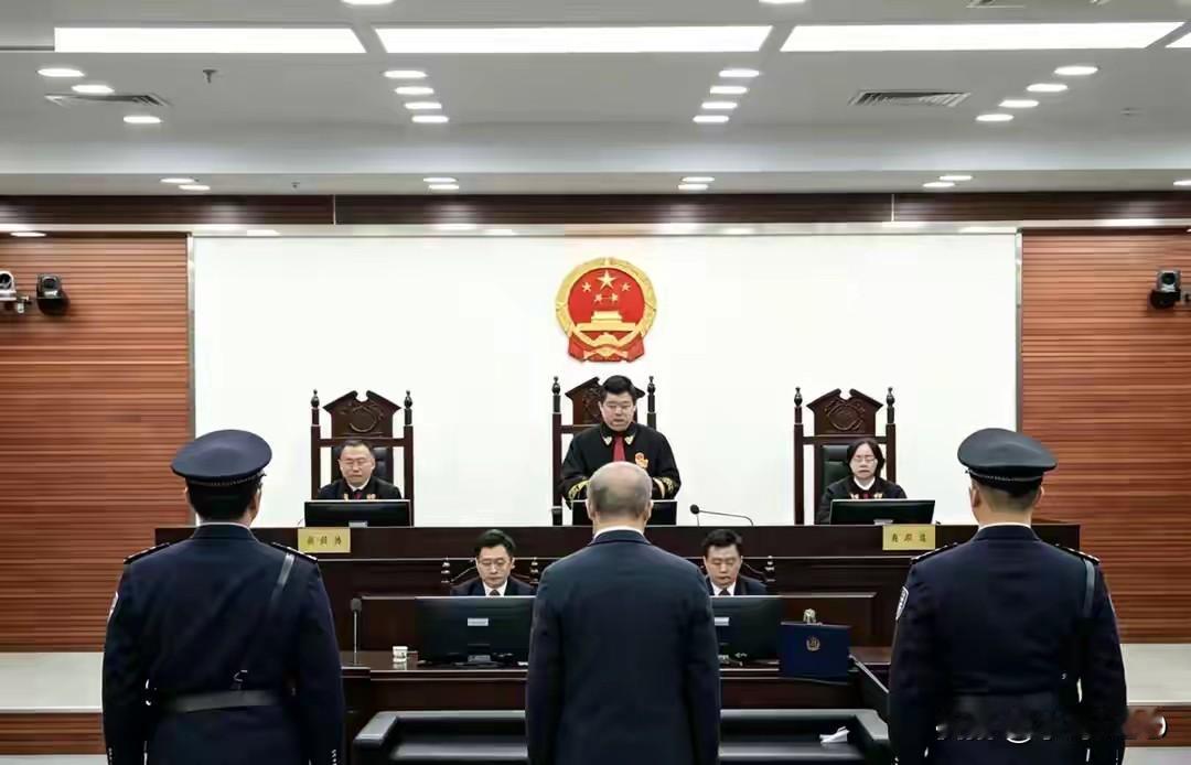 9.37吨战略金属走私日本，这账该怎么算？
·
法槌落下时，广州中院法庭内一片肃