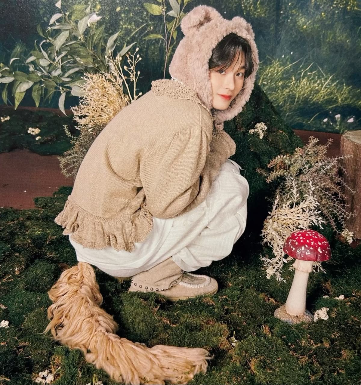 我无语了，我不知道这个世界上为什么会有这么可爱的照片 