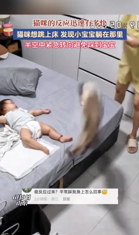 “有一种本能叫‘温柔’。”山东，几个月大的宝宝正躺在床上玩耍，家里的猫咪也凑巧想
